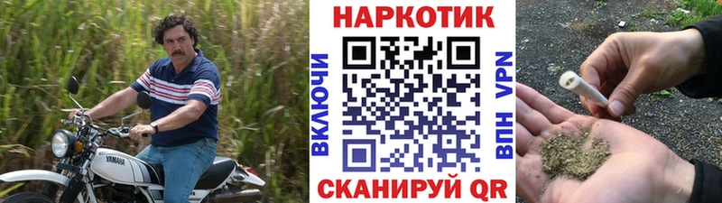 Купить наркотики Ленинск СК Гашиш