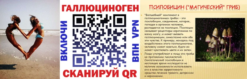 где купить наркоту  Ленинск  Галлюциногенные грибы Cubensis 